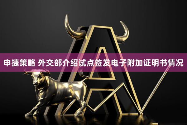 申捷策略 外交部介绍试点签发电子附加证明书情况