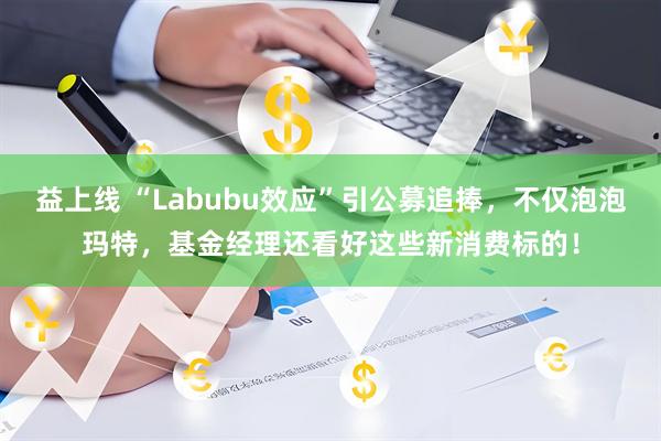 益上线 “Labubu效应”引公募追捧，不仅泡泡玛特，基金经理还看好这些新消费标的！